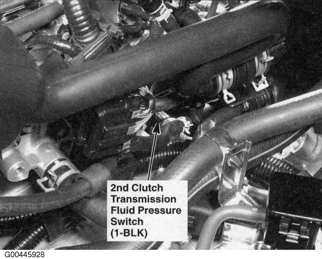 G00445928