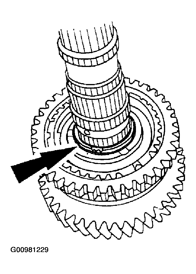 G00981229