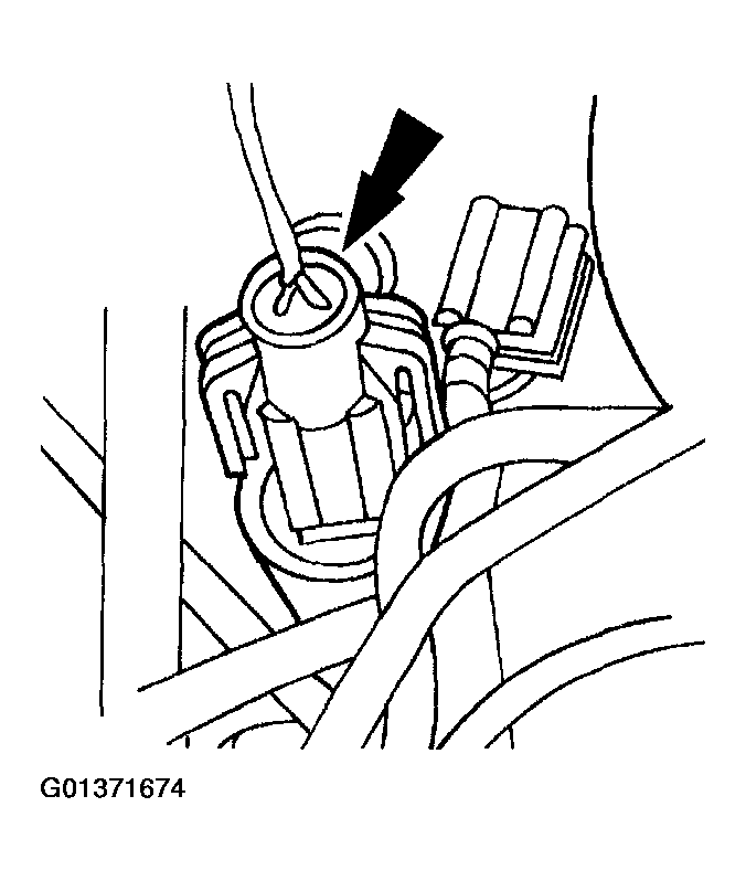 G01371674