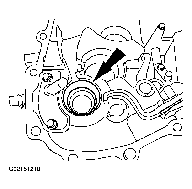 G02181218