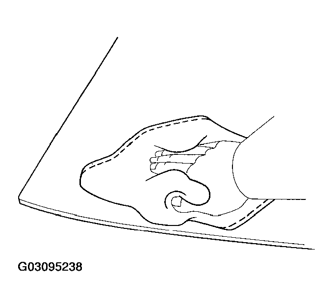 G03095238