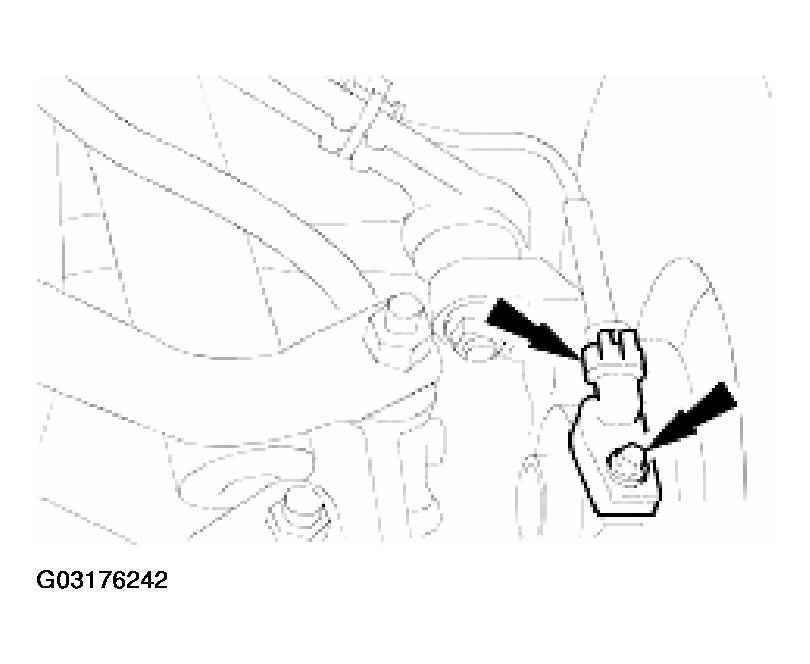 G03176242