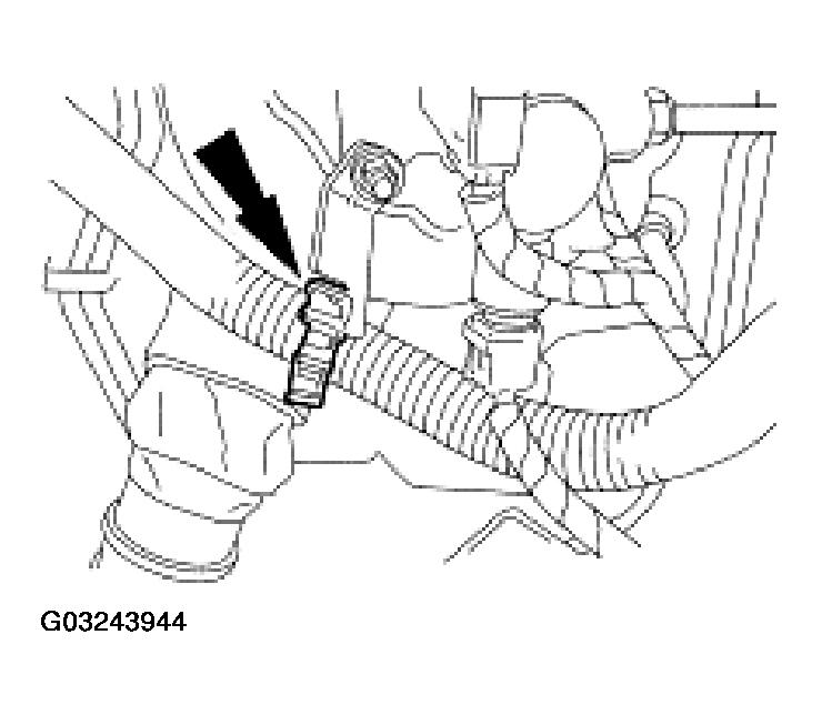 G03243944