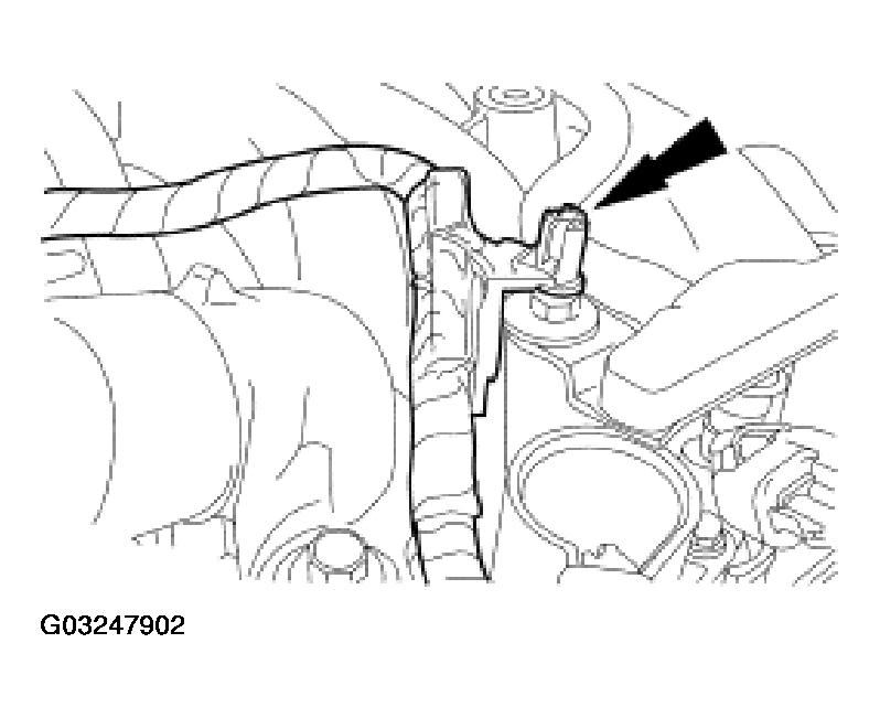 G03247902