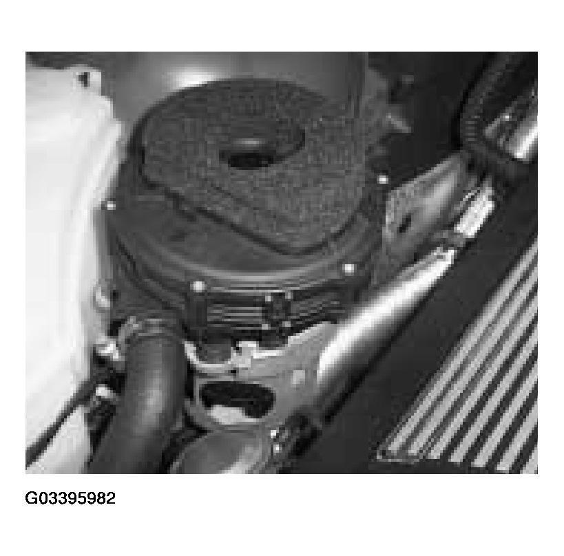 G03395982