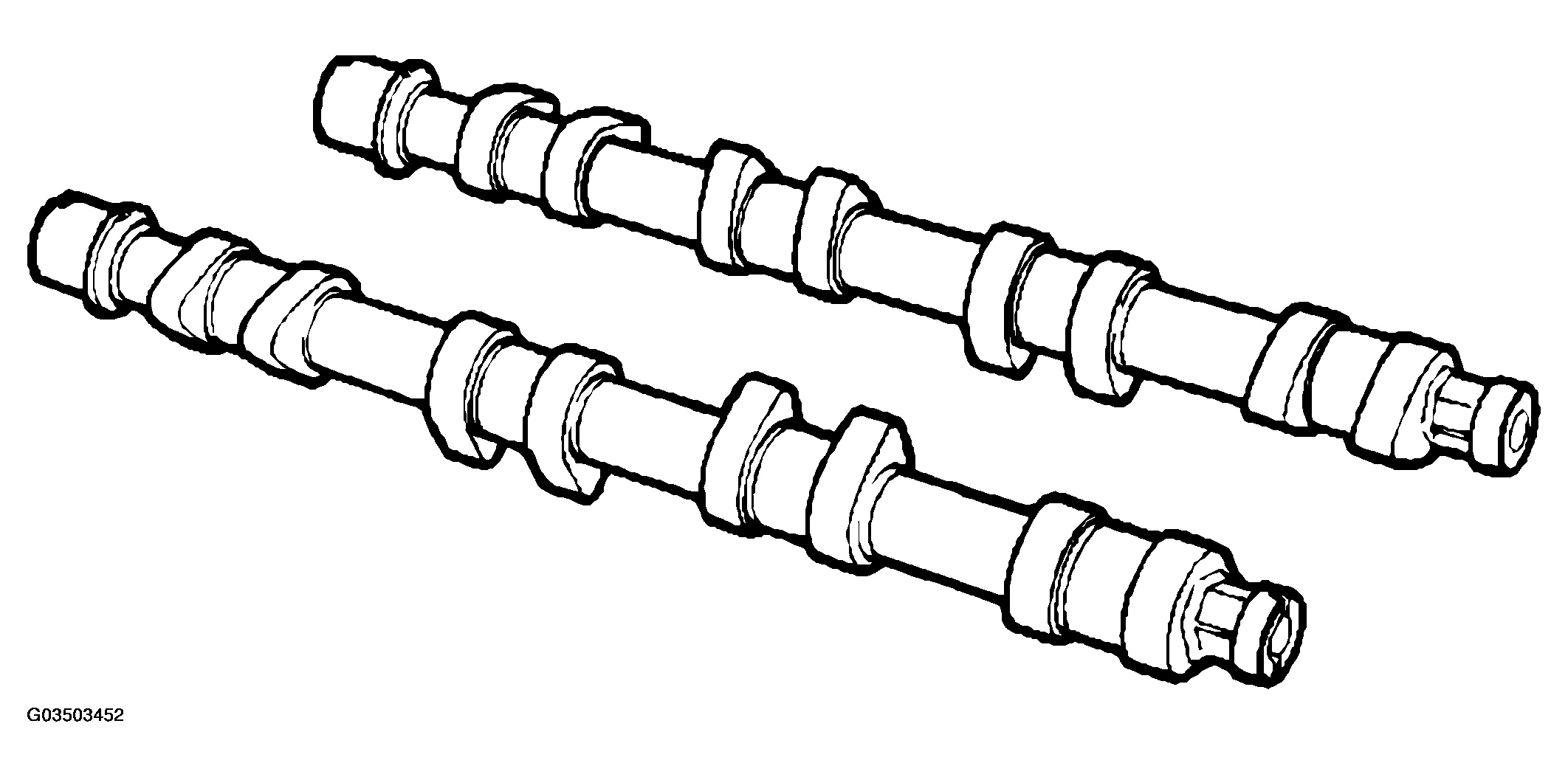 G03503452