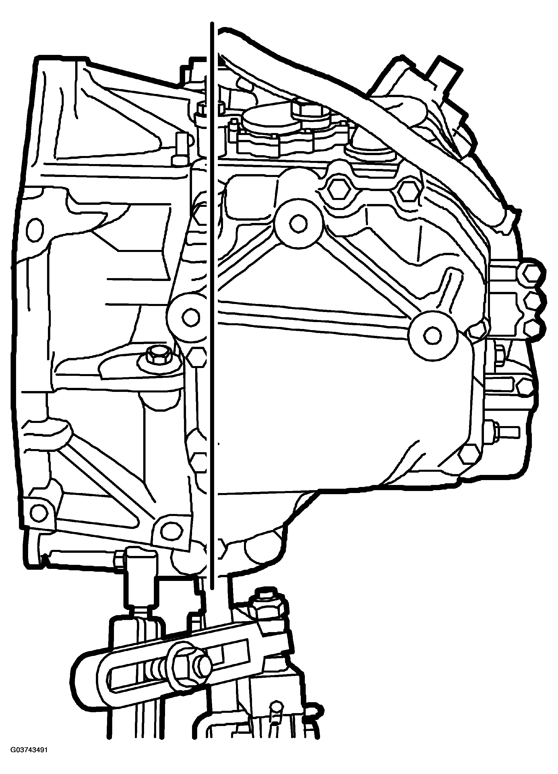 G03743491