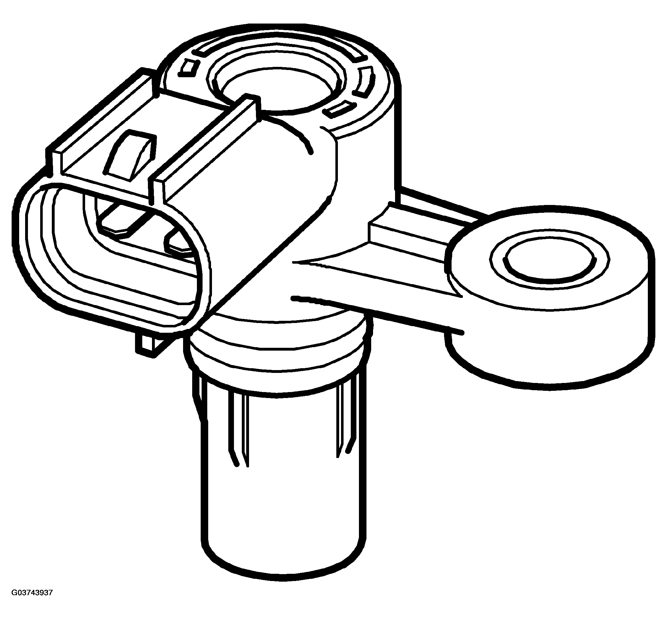 G03743937