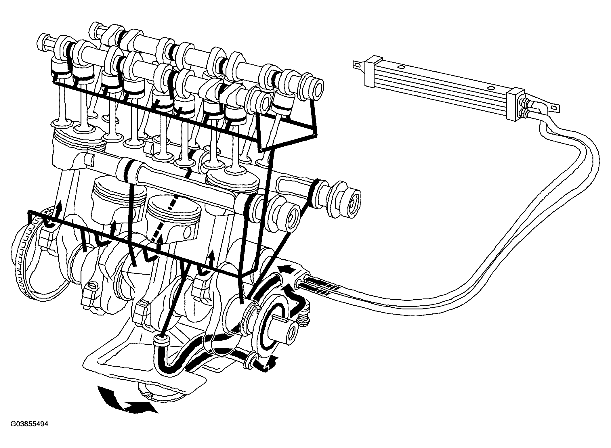 G03855494