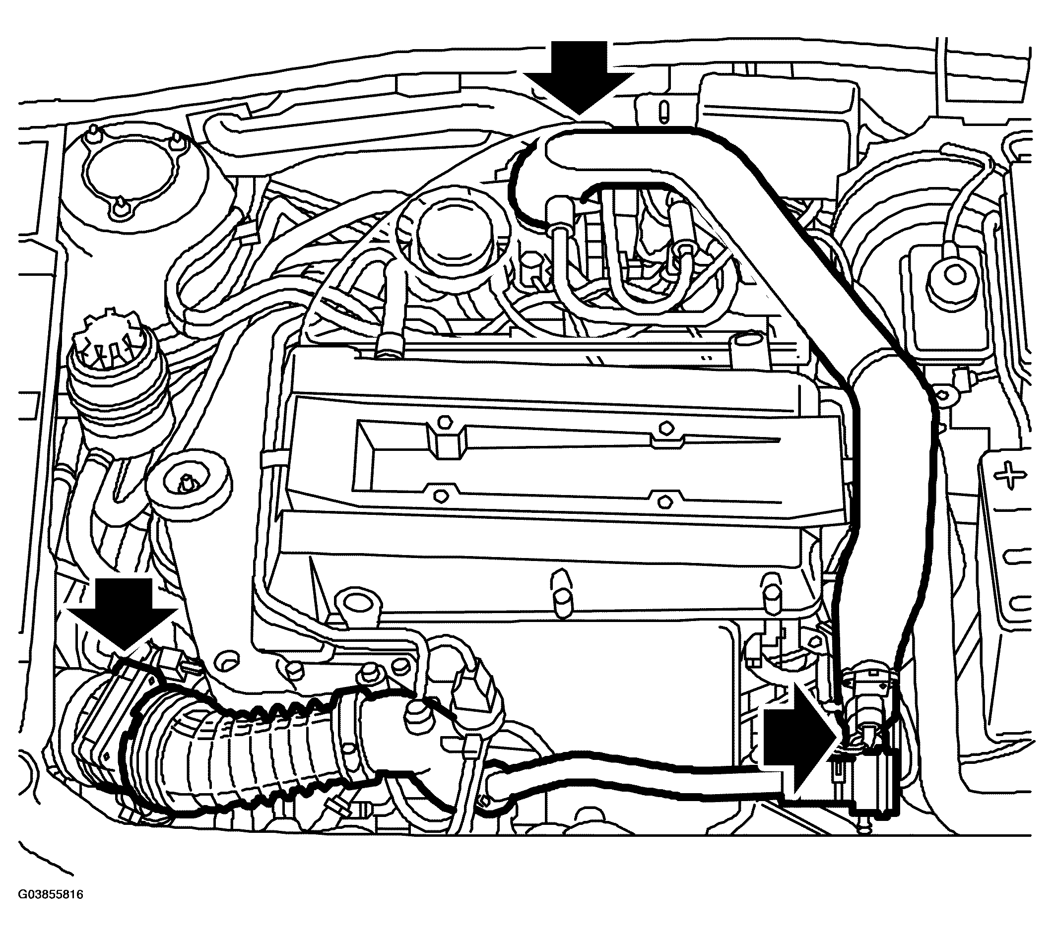 G03855816