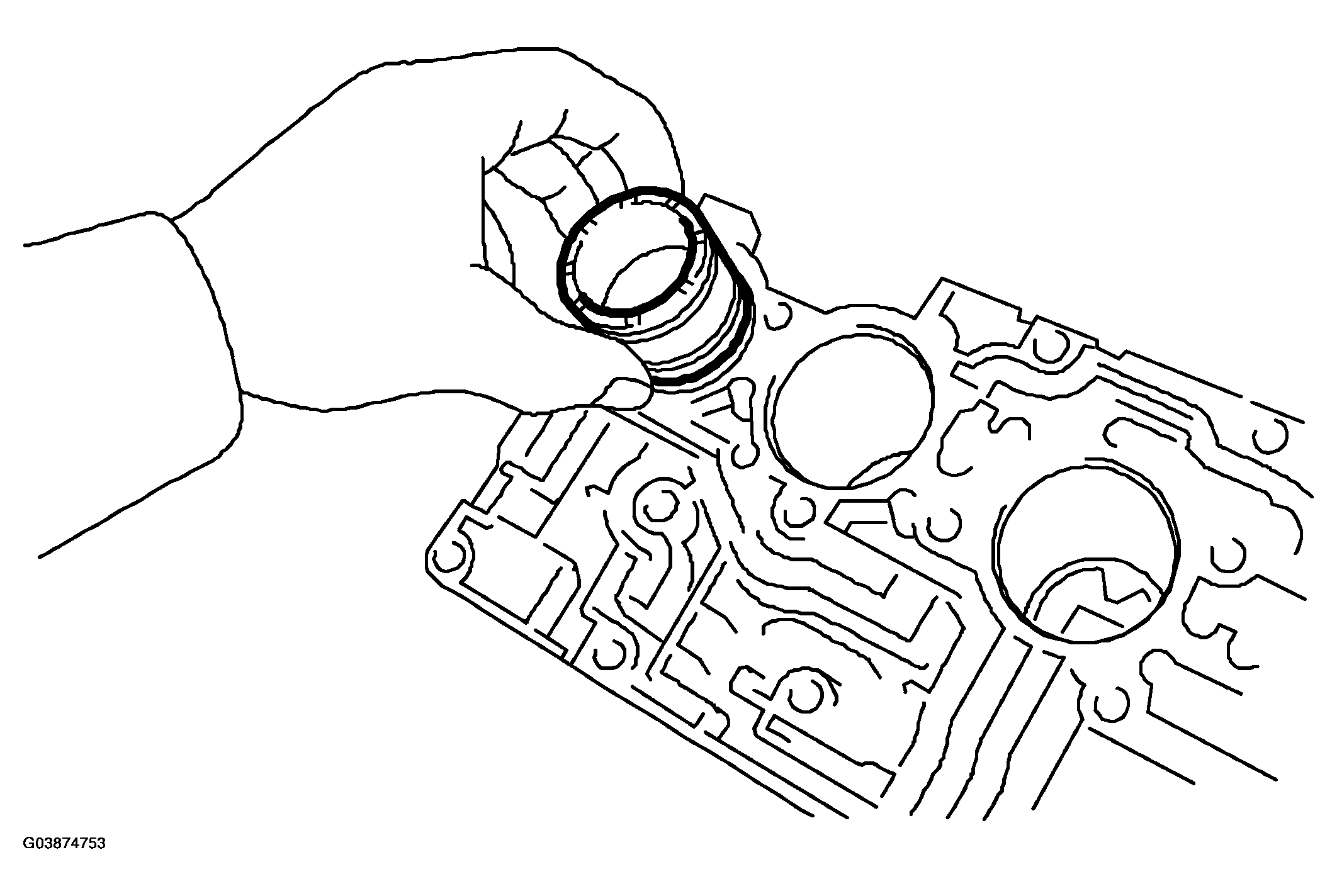 G03874753