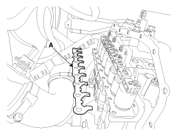 G11856908