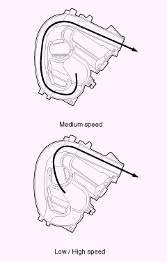 G13055584