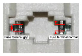 G13055958