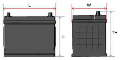 G13361393