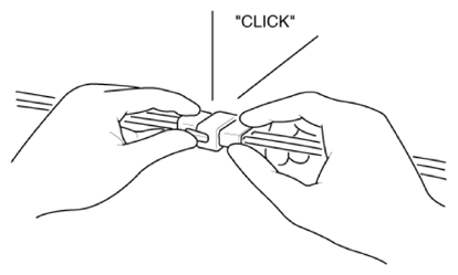G13428079