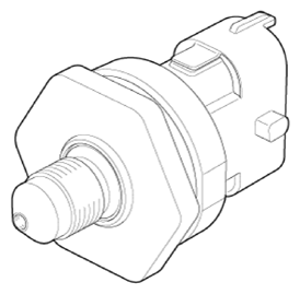 G13436596