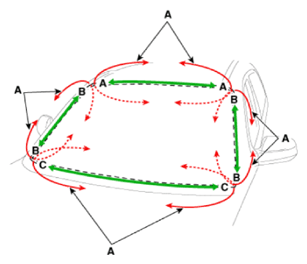 G14754402