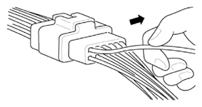 G15591381